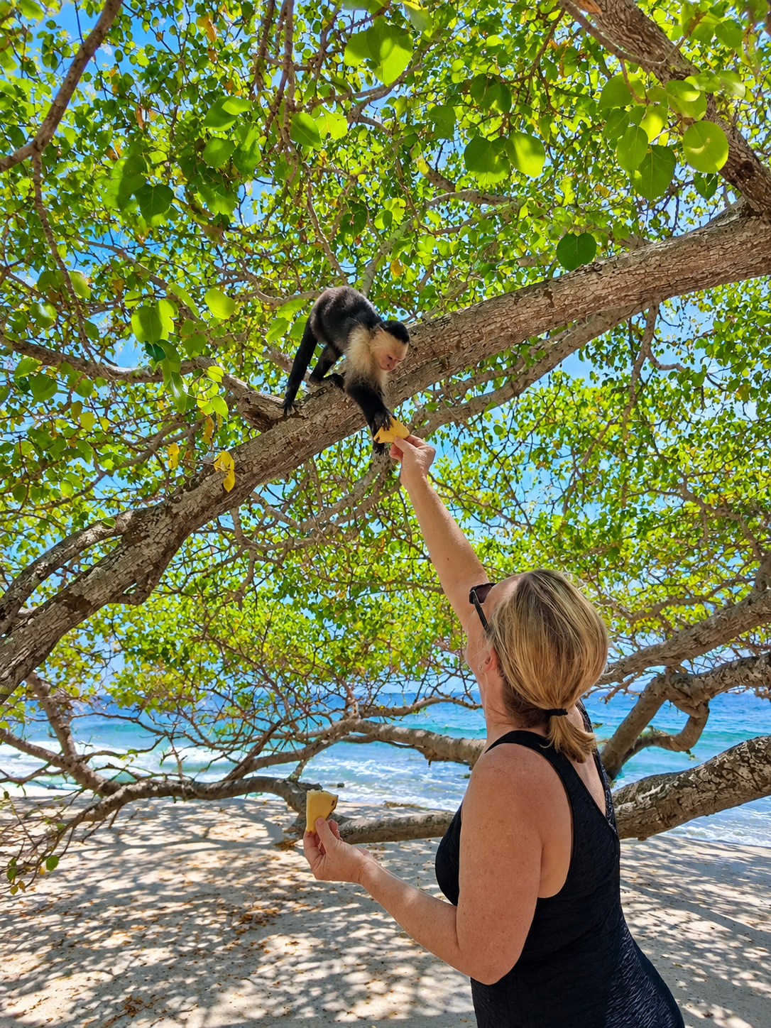 Meet the Locals