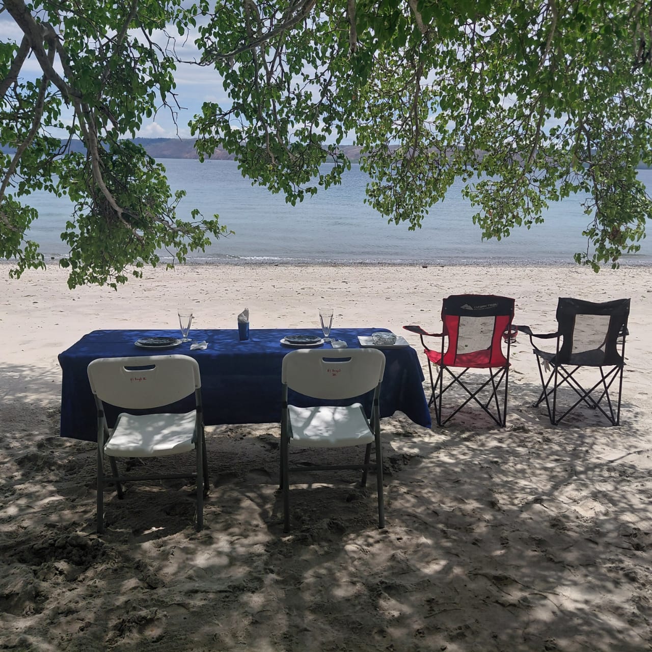 Beach Picnic